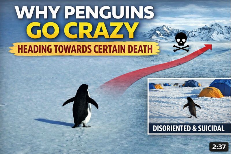 AI generated thumbnail 2